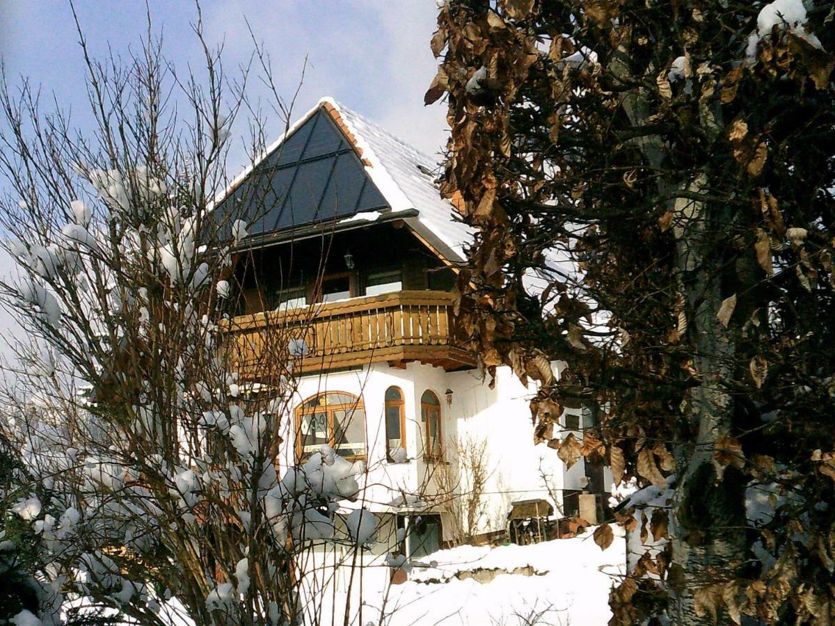Ferienwohnung Haus Barbara Braunlingen Luaran gambar